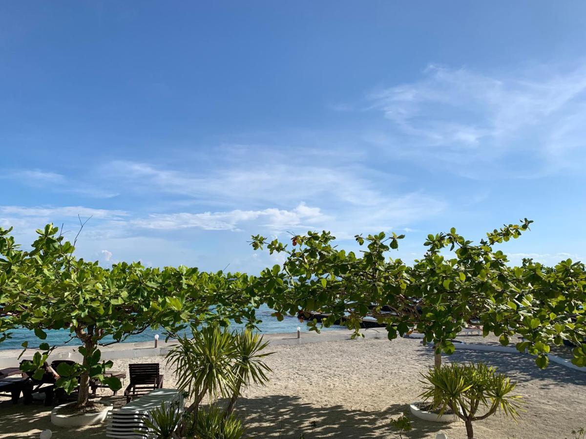 Turtle Bay Dive Resort Moalboal Exterior photo