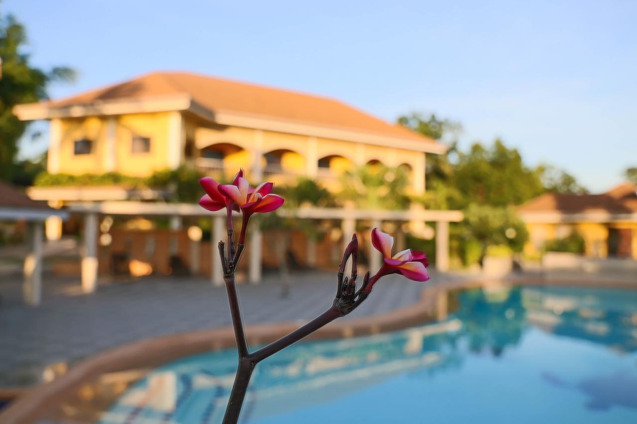 Turtle Bay Dive Resort Moalboal Exterior photo
